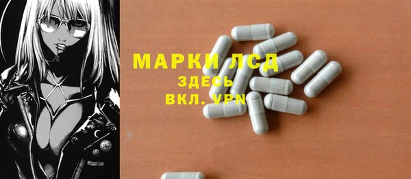 прущие грибы Алзамай
