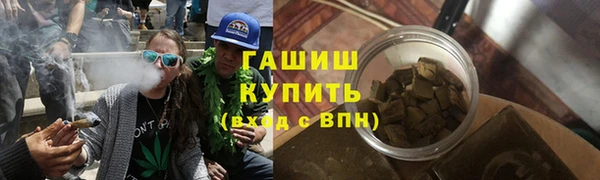 прущие грибы Алзамай